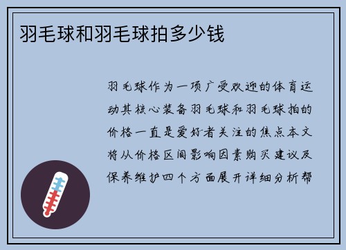 羽毛球和羽毛球拍多少钱